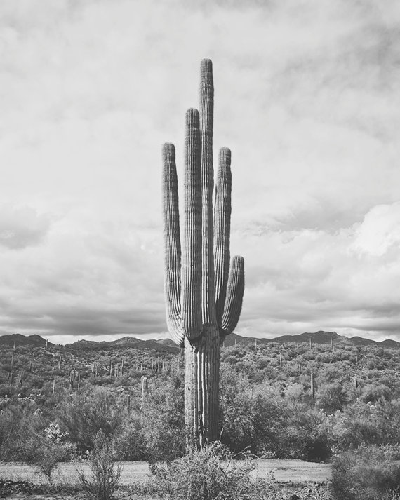 wickenburg wickenburg