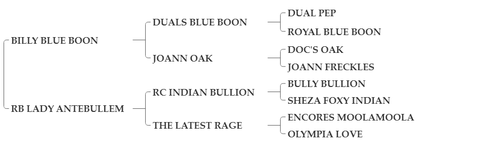 BULLYS+BLUE+BOON+apha BULLYS+BLUE+BOON+apha