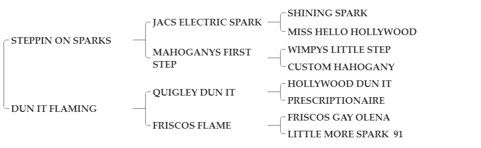FLAMIN+SPARKS FLAMIN+SPARKS