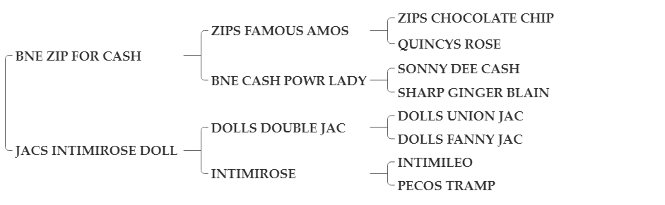 JACS+COLT+CASH JACS+COLT+CASH