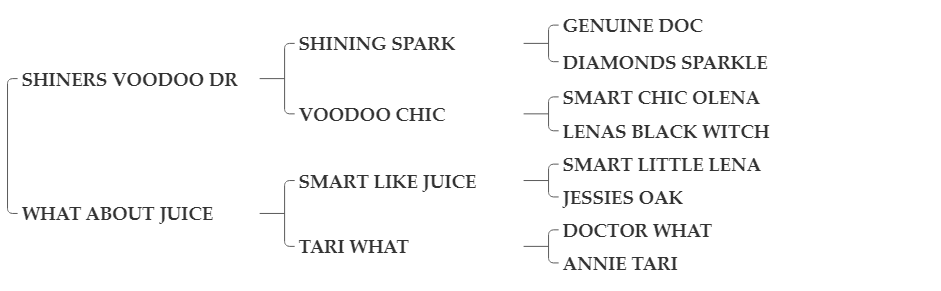 SB+VOODOO+JUICE SB+VOODOO+JUICE