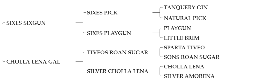 SIX+GUNS+GAL SIX+GUNS+GAL