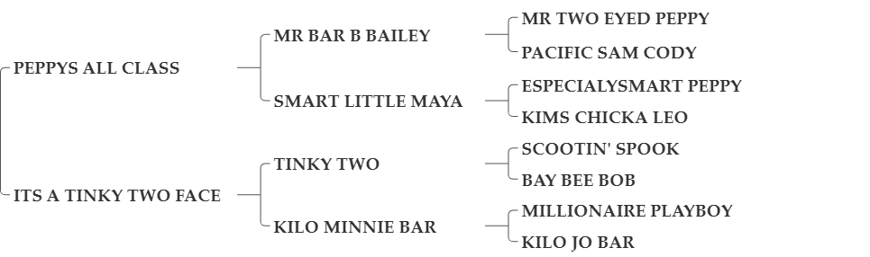 ALL CLASS MILLIONARE