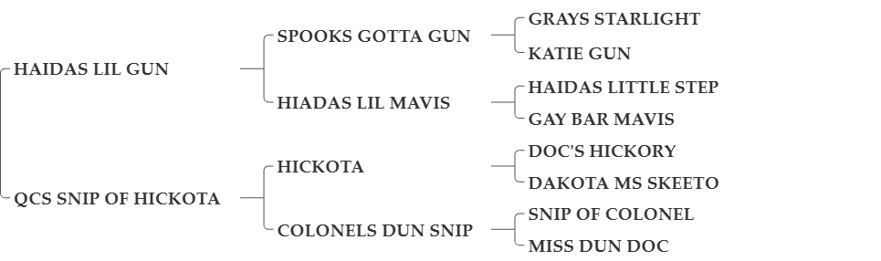 CHIEF GUNNER HICKOTA