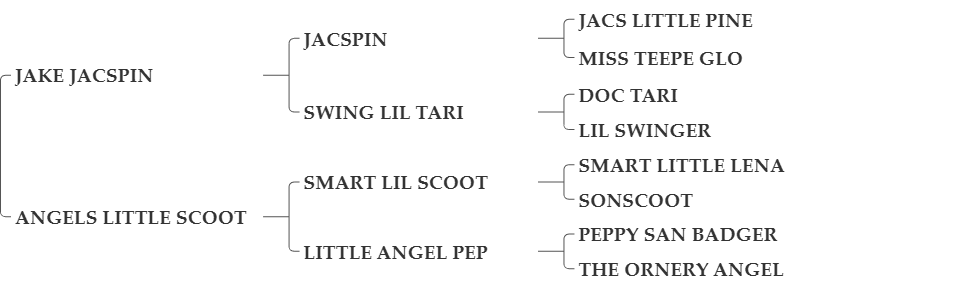 JAKES LITTLE SCOOT (1)