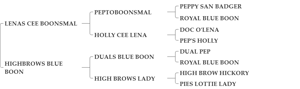 LENAS DUAL BLUE BOON