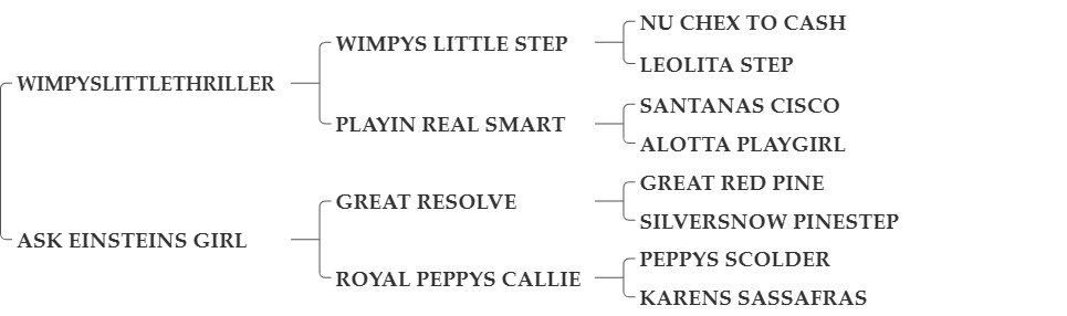 SG MY EINSTEINS GIRL