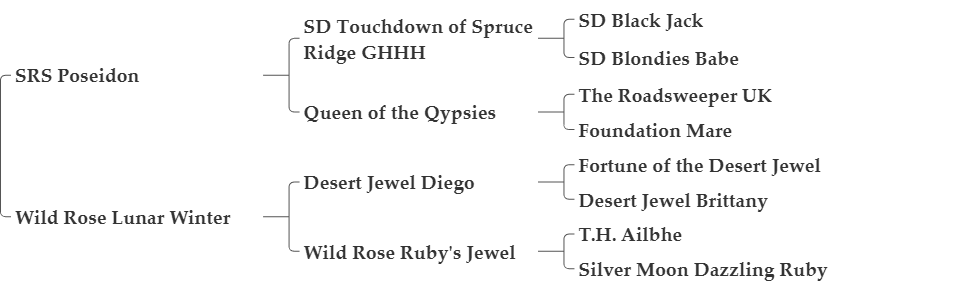 SHOOTING STAR NEPTUNE