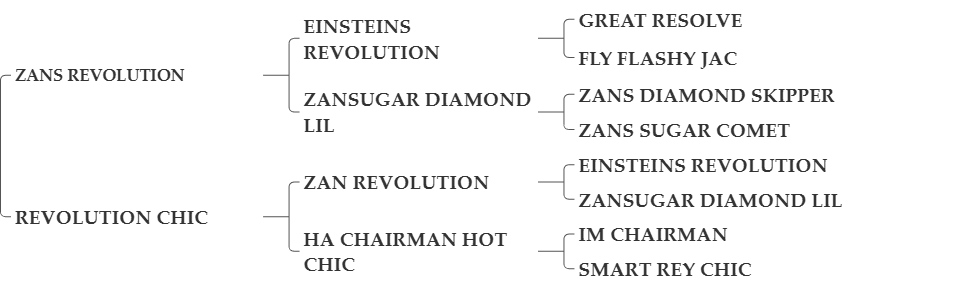 CHAIRMANS REVOLUTION
