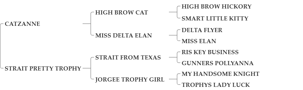 CATZ HANDSOME TROPHY