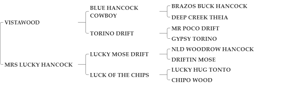 CHIP OF VISTA