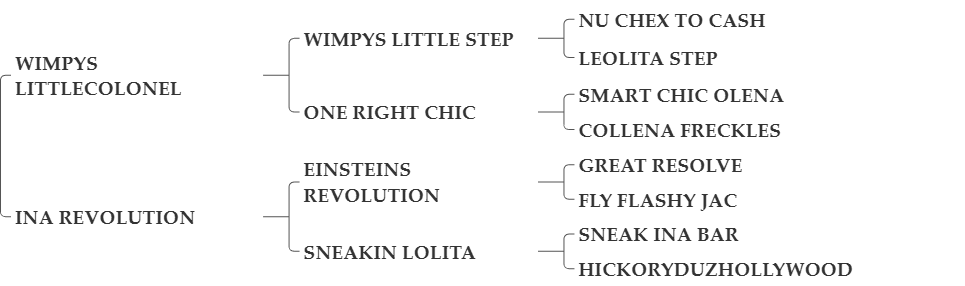 REVOLUTIONARY STEP