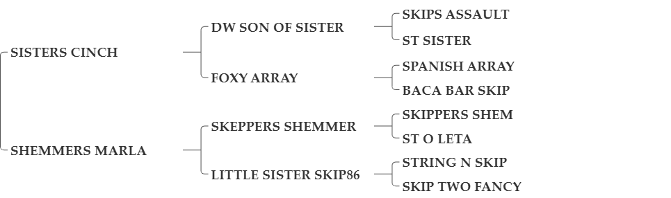 SKIPS DIAMOND ARRAY