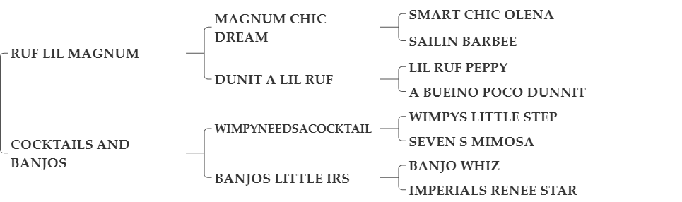 WIMPYS LIL MAGNUM