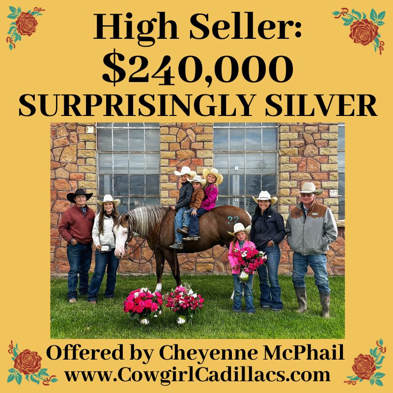 2026 wy high seller