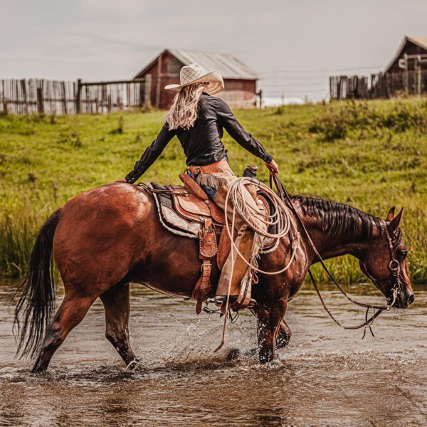 1 Main Square Bentley- Cool Rowdy Remedy 2020 AQH Gelding 2
