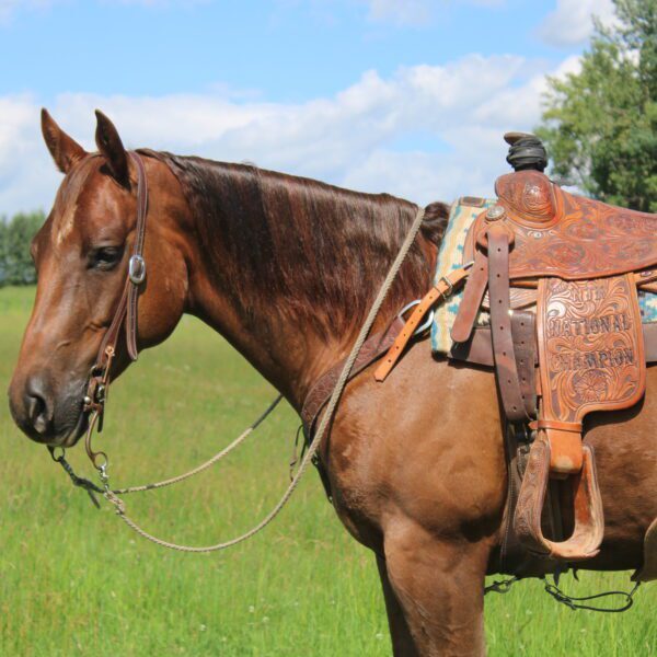 1731719689-fieldhorse_photo_1623161784265Rooster-3