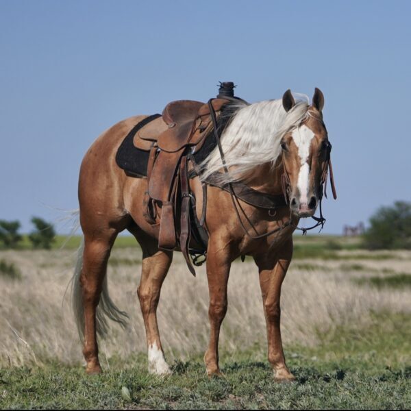 Screenshot Screenshot