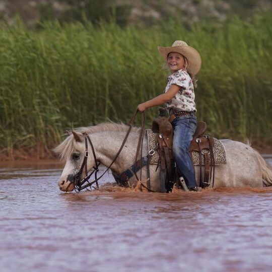 1760462554-fieldhorse_photo_1623161784265Lightning-McQueen