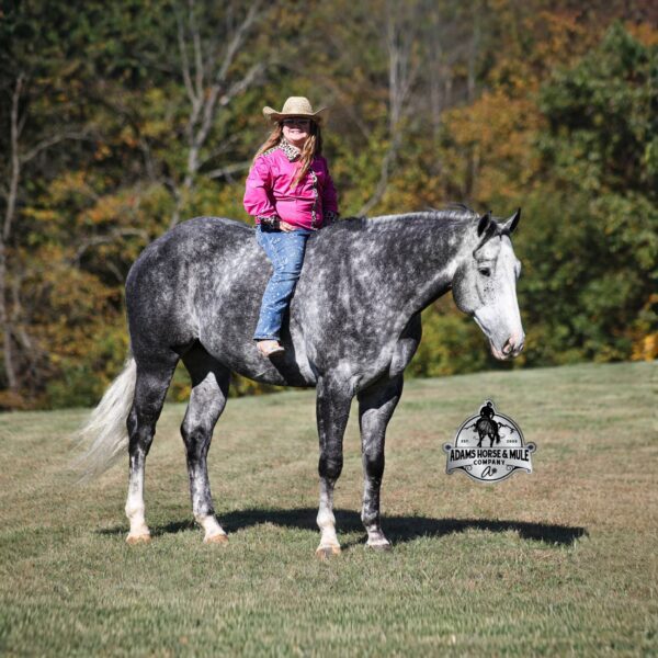 1761740908-photoZ32-5