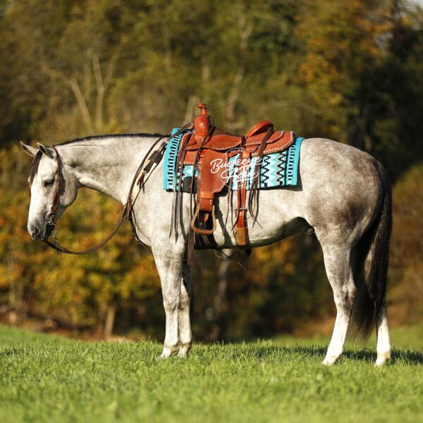 1761826082-fieldhorse_photo_1623161784265-3