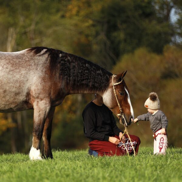 1761826082-unnamed-file-6