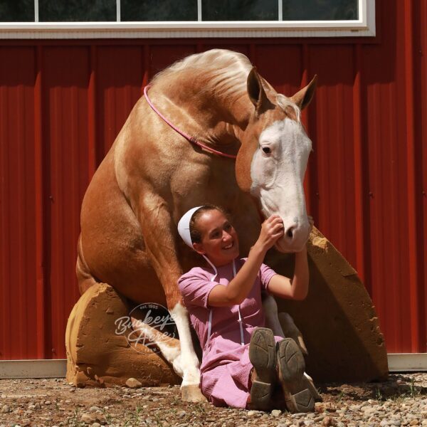 291A9650-2 copy 291A9650-2 copy