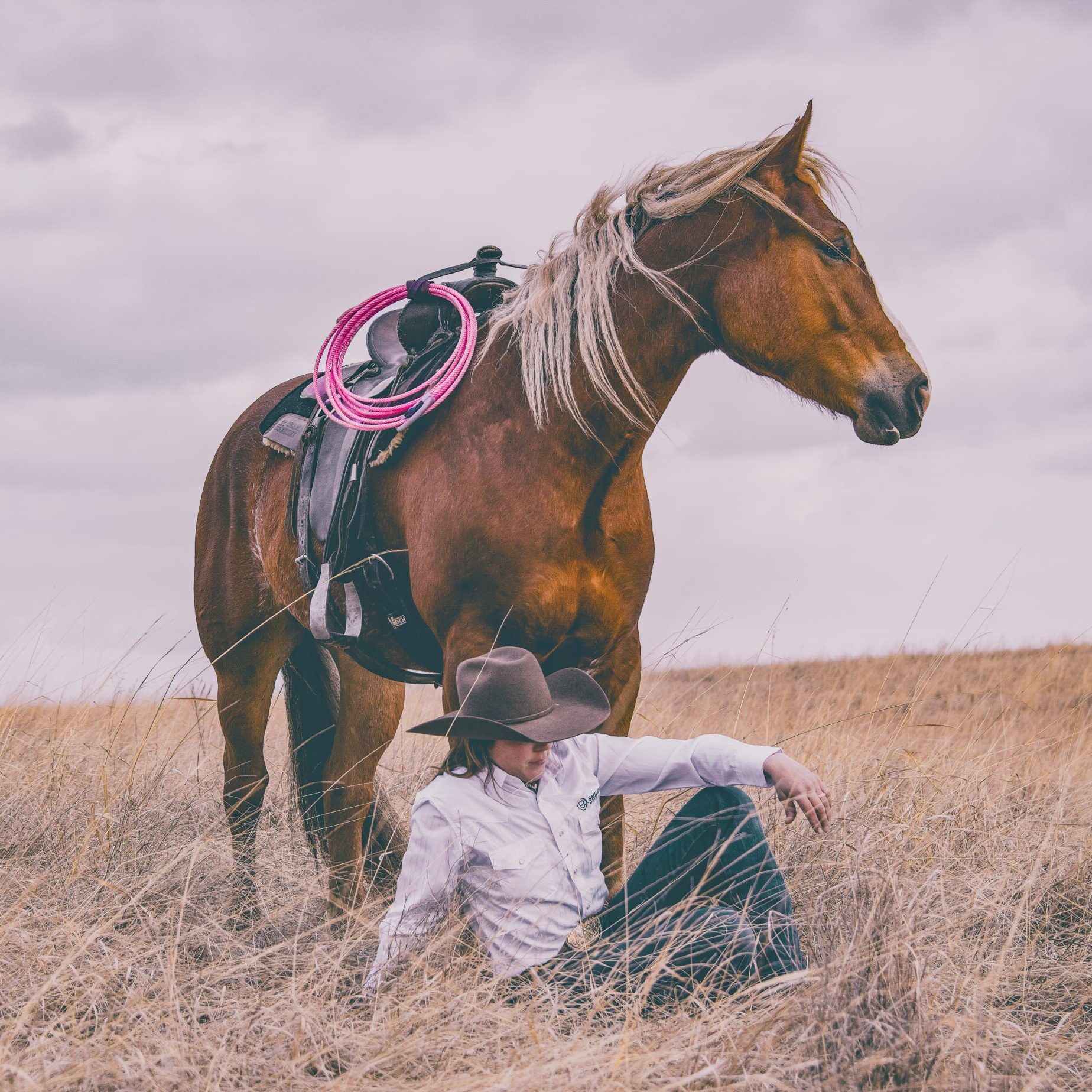 497C5E52-A2F2-4A64-994F-CD16887C5DC2 497C5E52-A2F2-4A64-994F-CD16887C5DC2