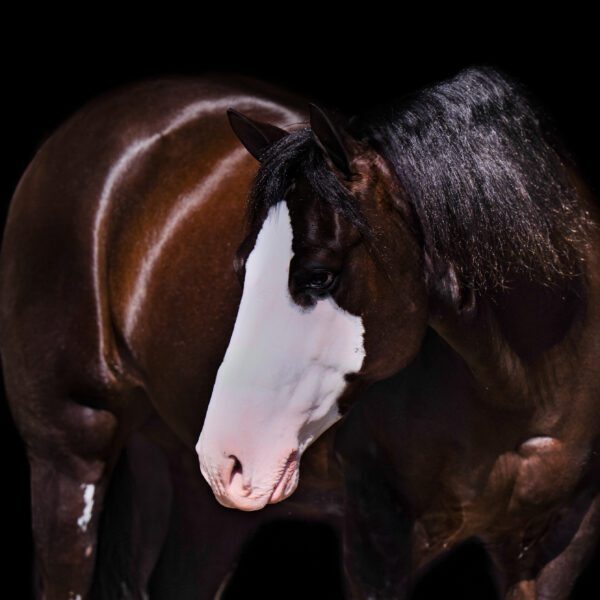 8FA477A1-BDF0-4216-9F90-69A1234BABDC 2 8FA477A1-BDF0-4216-9F90-69A1234BABDC 2