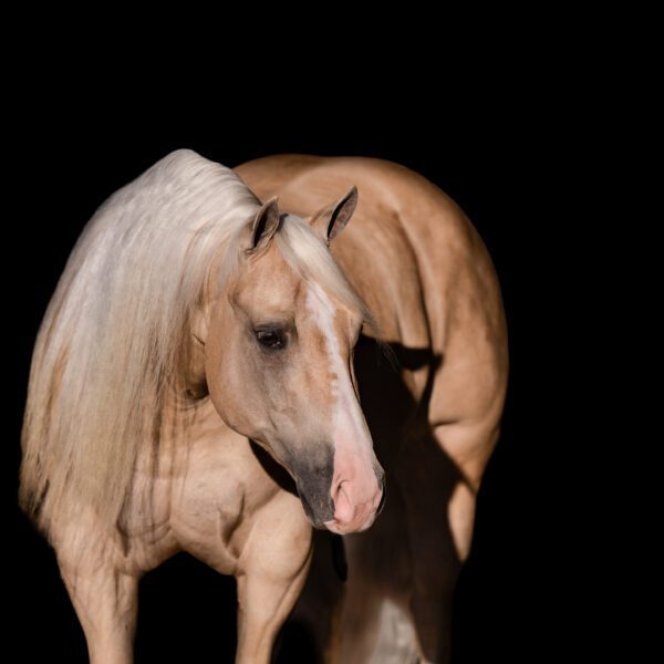 ABACA6B7-0F39-4319-8B98-46B03D1F7D4A