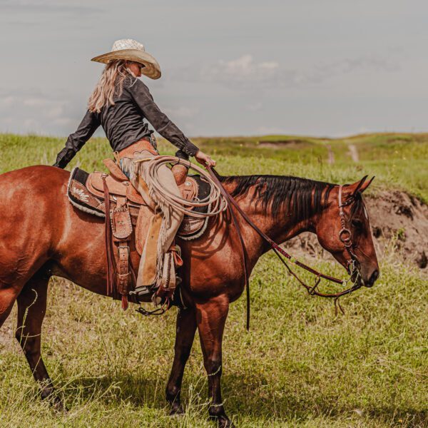 Bentley- Cool Rowdy Remedy 2020 AQH Gelding - 6