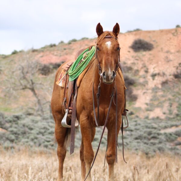 DDEDCCF2-00D7-438D-9E63-37E26FB40769 DDEDCCF2-00D7-438D-9E63-37E26FB40769