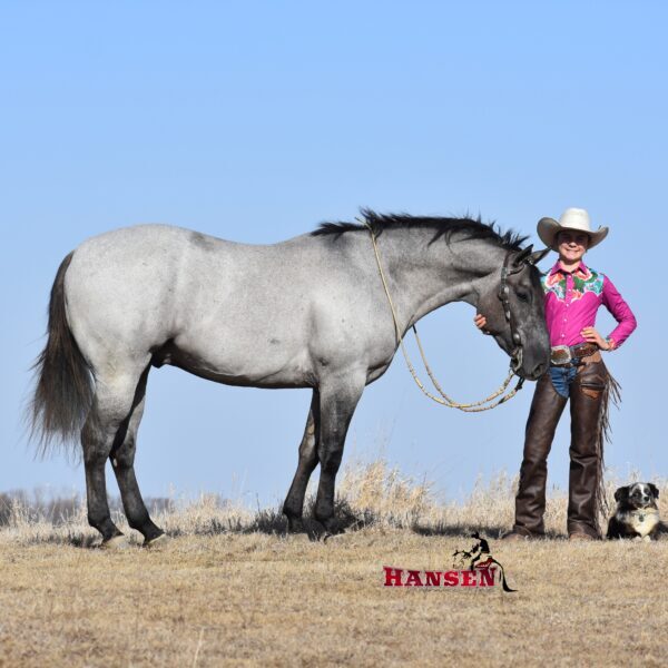 Eddie_HansenPerformanceHorsesWeb1