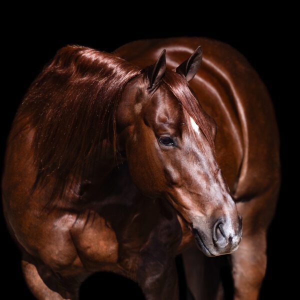 F43F86B1-9811-4EA9-B4FD-7491F0402049 F43F86B1-9811-4EA9-B4FD-7491F0402049