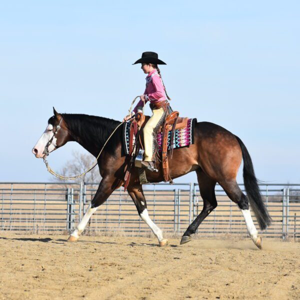 Fez Feature Fez Feature