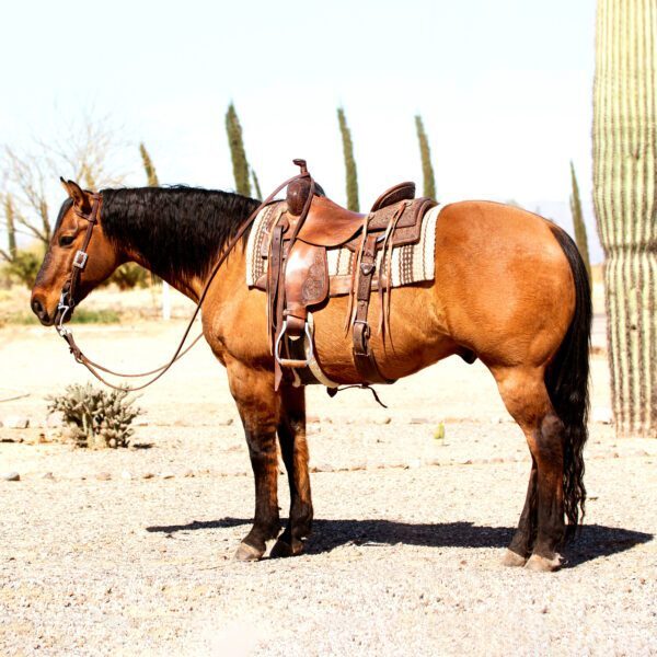 PocoFeature PocoFeature