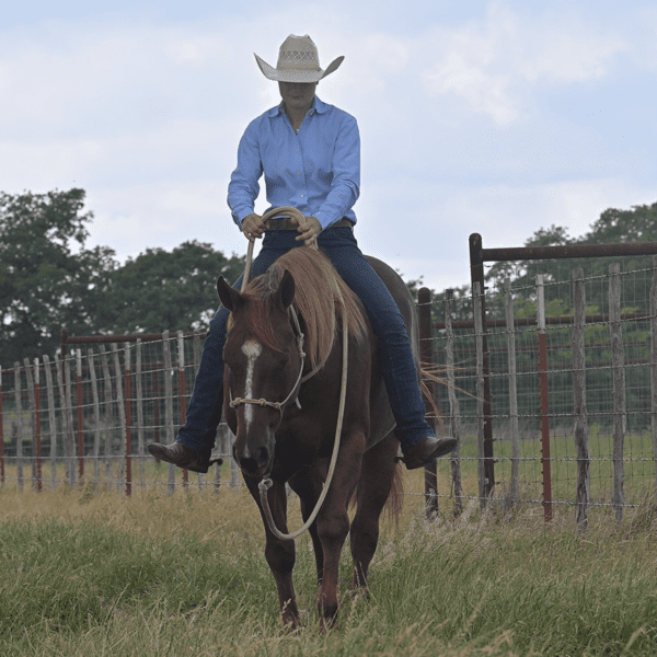 Rose_riding (24)