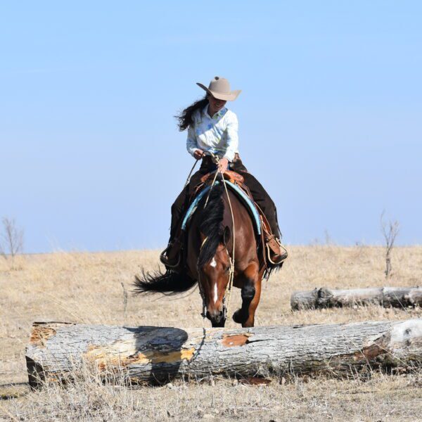 Tito Feature Tito Feature