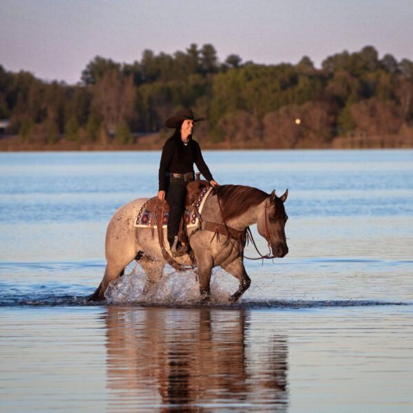 fieldhorse_photo_1623161784265-8-scaled