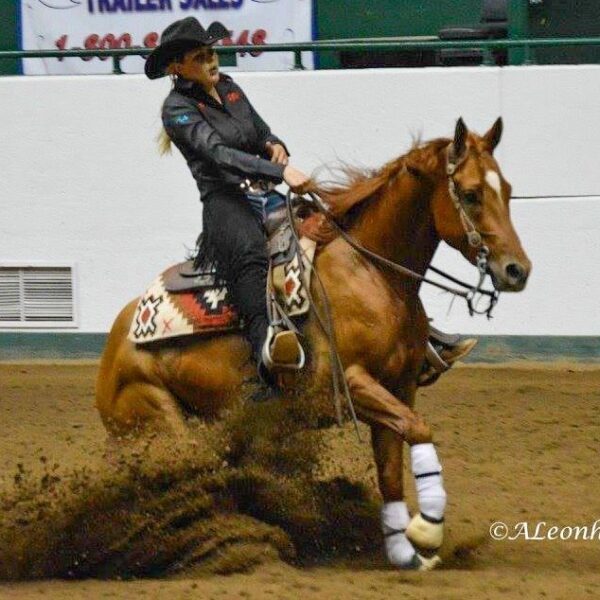 fieldhorse_photo_1623161784265UWRF-Skeetpotato-Pie-Skeeter fieldhorse_photo_1623161784265UWRF-Skeetpotato-Pie-Skeeter