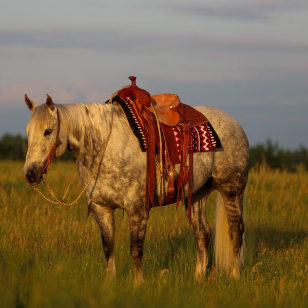 image00001 image00001