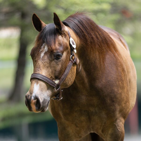 Kelly Miller Kelly Miller