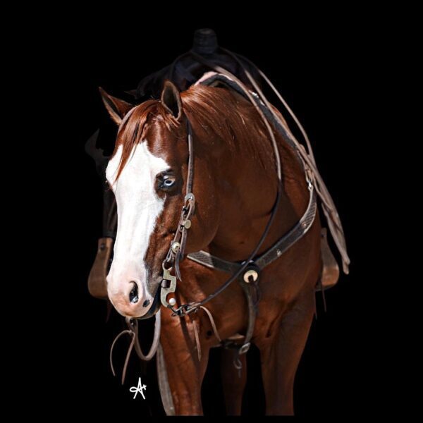 image00001 image00001