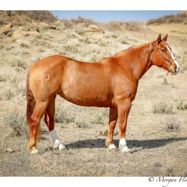 image00002 image00002