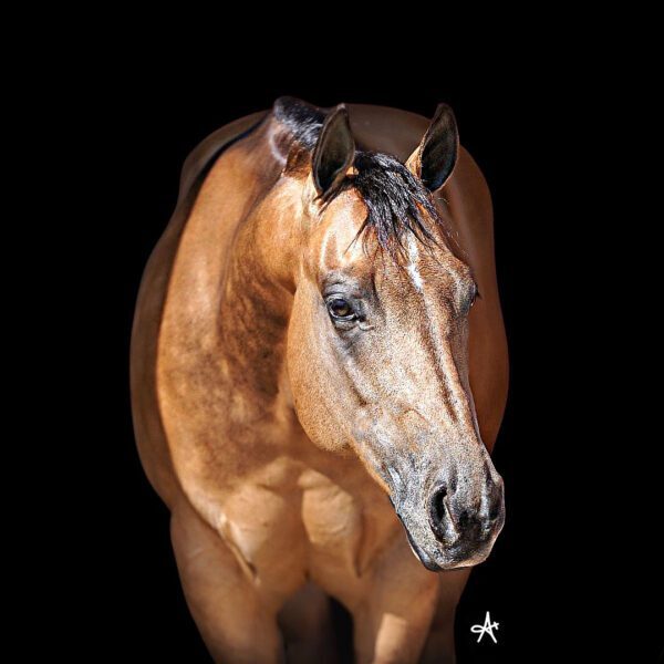 image00003 image00003