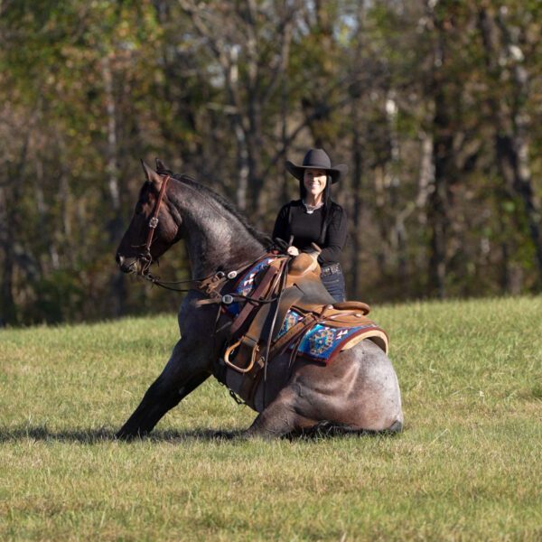 unnamed-file-14-scaled